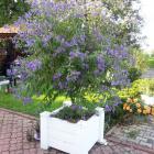 Donica PCV z kratka - 0013.jpg